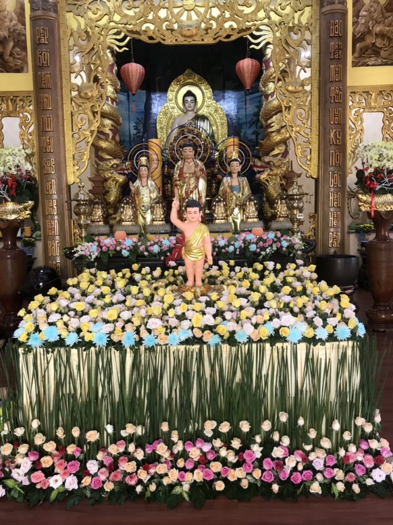 4e2682c5ed01185f4110 Copy