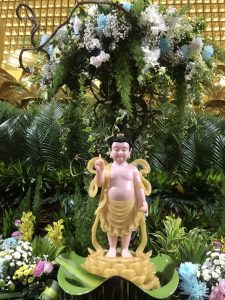 4e62be2ed1ea24b47dfb