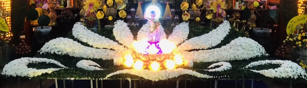 62f56be6a7d852860bc9 Copy