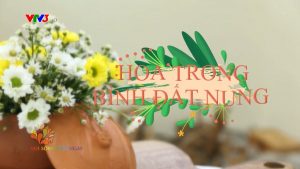 Hướng dẫn cắm hoa