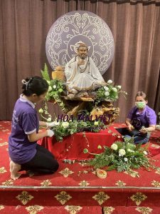 Trà Sư Tâm Trà Diệu Bảo