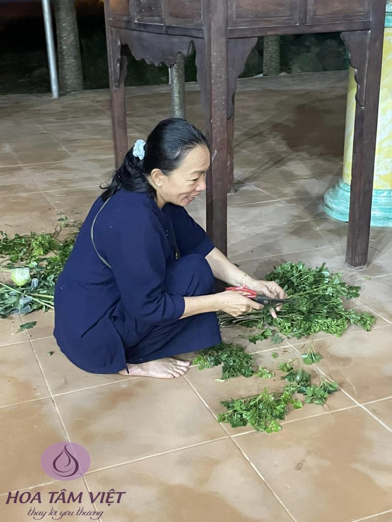 Hoạt động phật sự