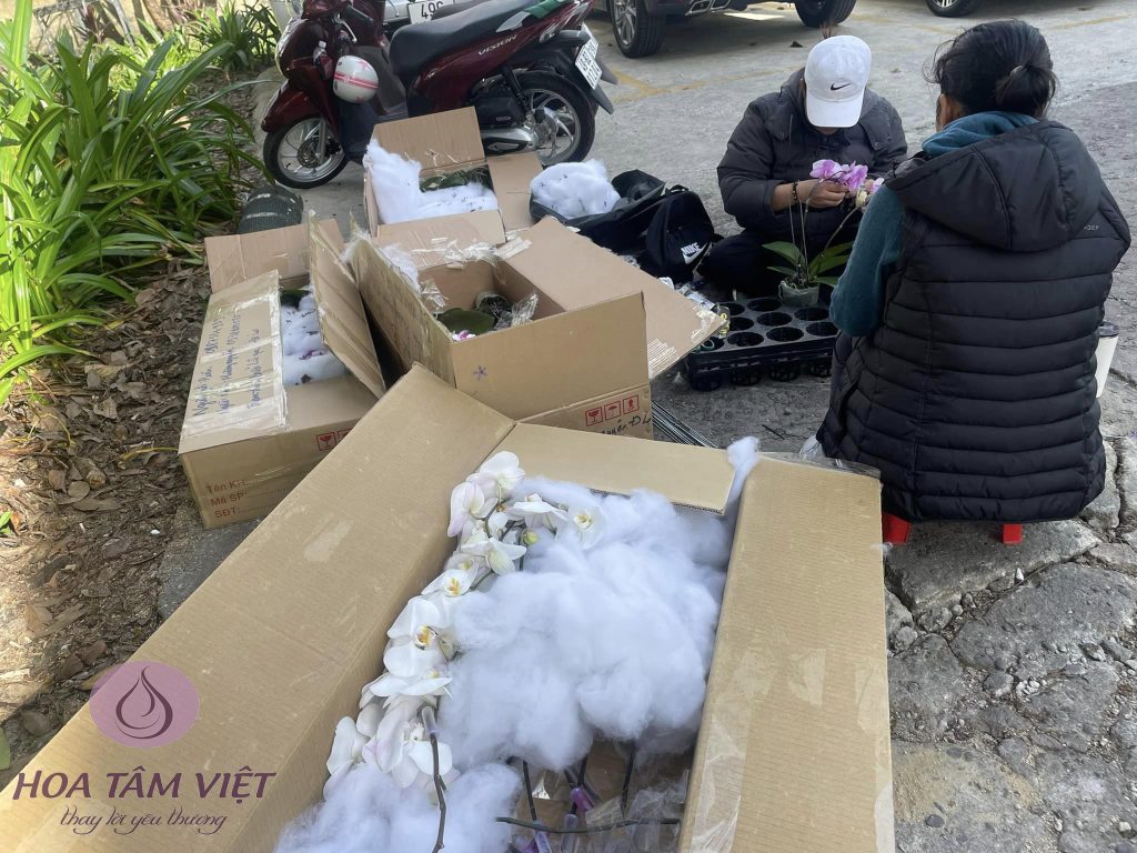 Hoạt động phật sự