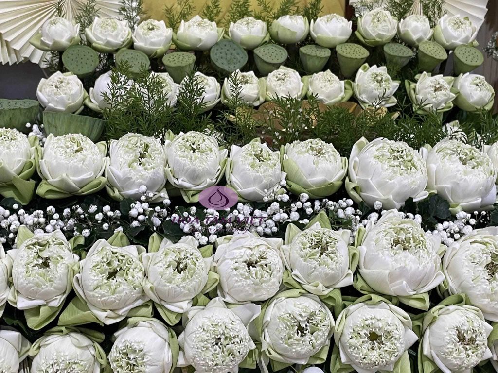 Lễ Đại Tưởng