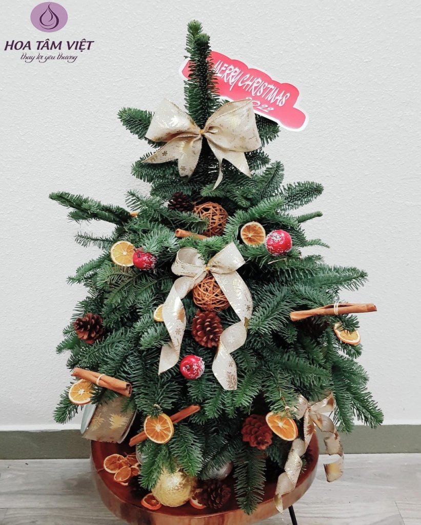 Một năm thật nhanh