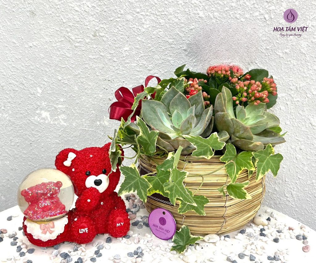 hoasenda.hoatamviet3