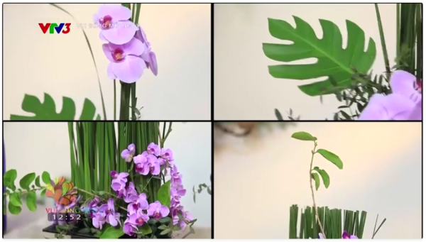 [video width="852" height="480" mp4="https://hoatamviet.vn/wp-content/uploads/2025/07/Vui-song-moi-ngay-05-9-2023-KyNangCamHoaLan-VTV3.mp4"][/video]