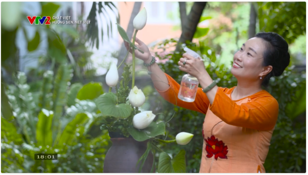 Khám Phá Vẻ Đẹp Sen Việt: Hương Sen Nét Việt Trên VTV2 Cùng Nghệ Nhân Mai Phan