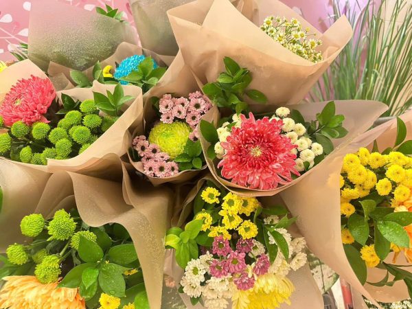 z6705585569768 361081ad88e4734c23e54b3616fc39bf