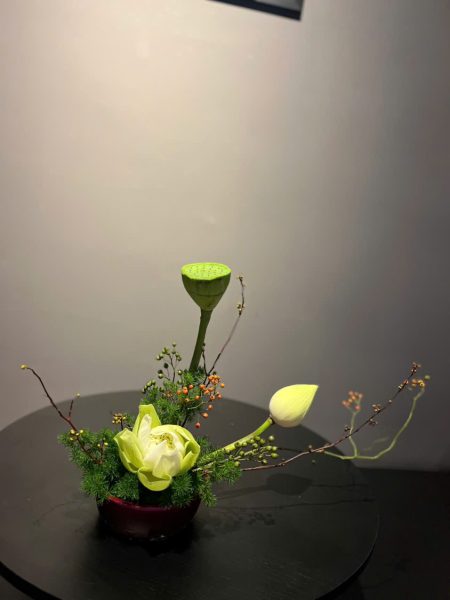 z7171622737878 6e17f1254e54d1bd1a07e2d604e1b5a9