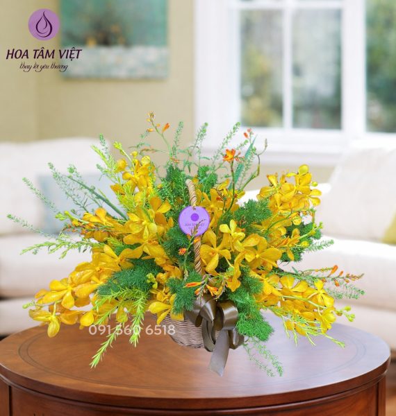 643320485 1355350819947215 2448826049805128121 n