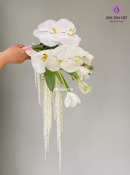 670543830 1394374362711527 7397409282880706199 n