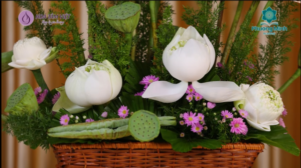 Hướng dẫn cắm Hoa Sen Trắng – Vẻ đẹp bình yên, thanh tao cho không gian sống